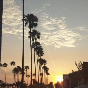 Meet your Posher, Owen